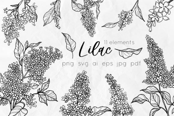 Download Lilac Flowers Line Art SVG - Flowers Collection