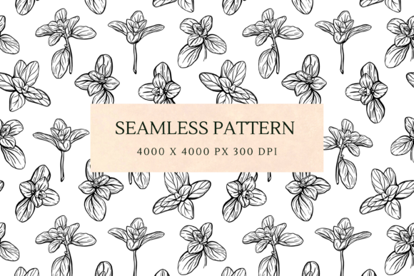 Download Basil and Oregano Leaves Pattern - Leaves pattern Collection