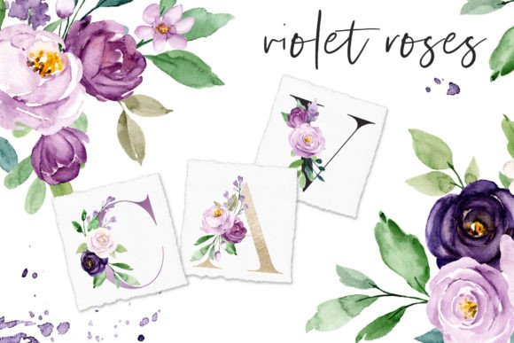 Download Watercolor Violet Flowers Roses - Flowers Collection