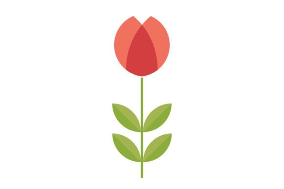 Download Decorative Modern Minimal Flowers - Flowers Collection