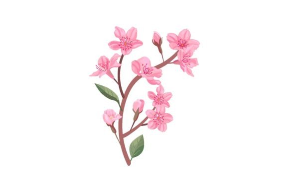 Download Flowers Petals, Cherry or Peach Tree Bra - Flowers Collection