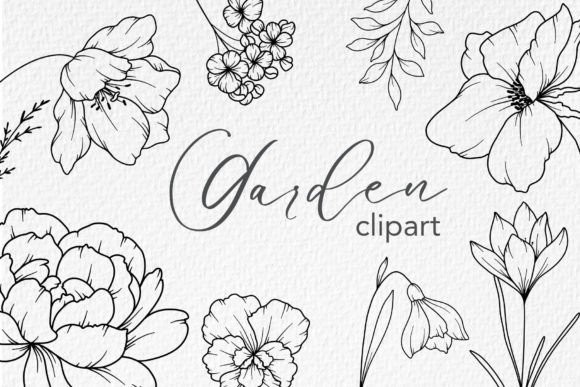 Download FLOWERS LINE DRAWING, Floral Line Art - Flowers Collection