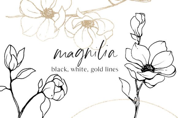 Download Flowers Magnolia Line Art Floral Set - Flowers Collection