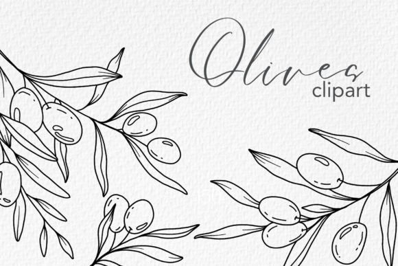 Download Olive Branches LINE ART. OLIVES CLIPART - Olive Collection